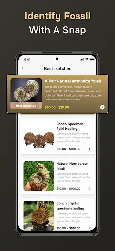Скриншот 2 — Fossil Identifier