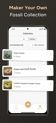 Скриншот 3 — Fossil Identifier