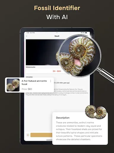 Скриншот 5 — Fossil Identifier