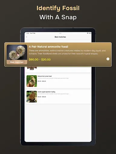 Скриншот 6 — Fossil Identifier