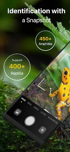Скриншот 1 — Frog Identifier Reptile ID