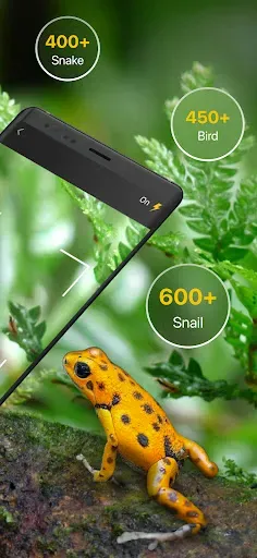 Скриншот 2 — Frog Identifier Reptile ID