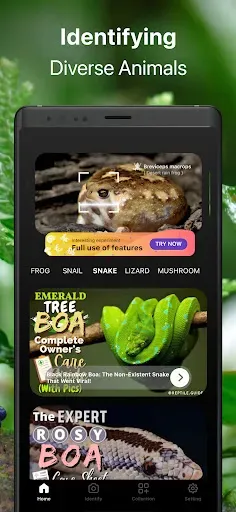 Скриншот 3 — Frog Identifier Reptile ID