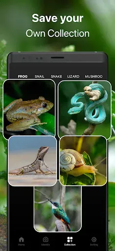 Скриншот 5 — Frog Identifier Reptile ID