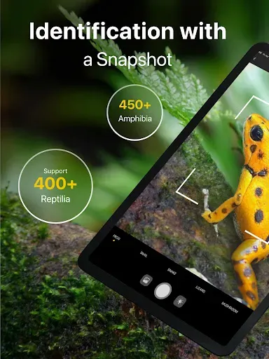 Скриншот 6 — Frog Identifier Reptile ID