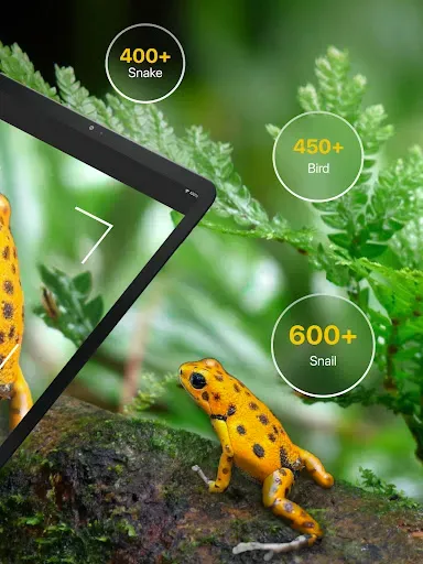 Скриншот 7 — Frog Identifier Reptile ID