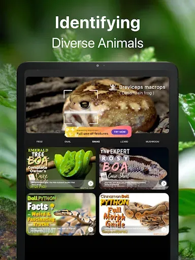 Скриншот 8 — Frog Identifier Reptile ID