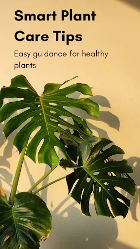 Скриншот 4 — Plant Identifier & Plant Care