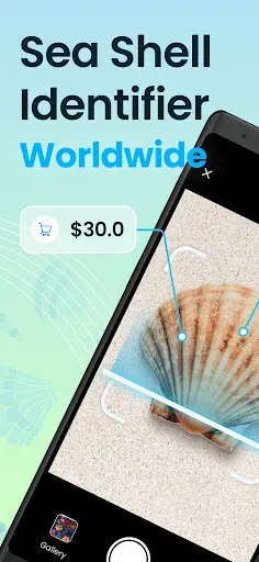 Скриншот 1 — Seashell Identifier App