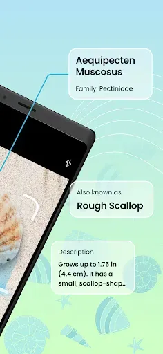 Скриншот 2 — Seashell Identifier App