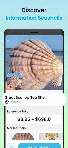 Скриншот 3 — Seashell Identifier App