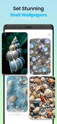 Скриншот 4 — Seashell Identifier App