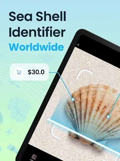 Скриншот 6 — Seashell Identifier App