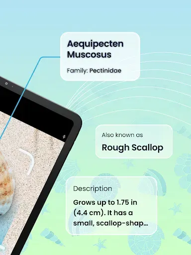 Скриншот 7 — Seashell Identifier App