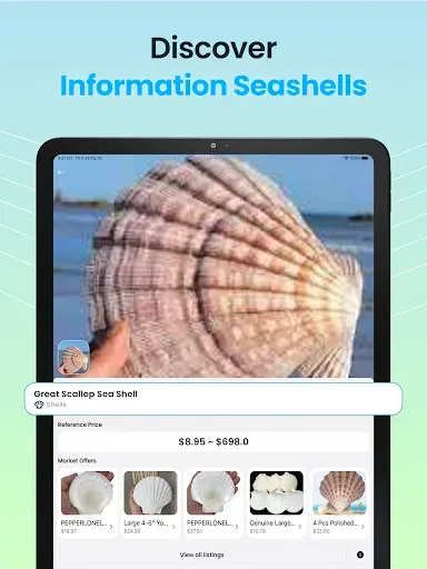 Скриншот 8 — Seashell Identifier App
