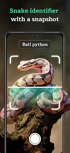 Скриншот 1 — Snake Identifier AI Scanner