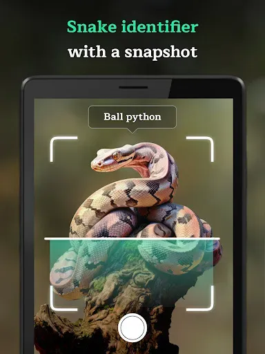Скриншот 5 — Snake Identifier AI Scanner