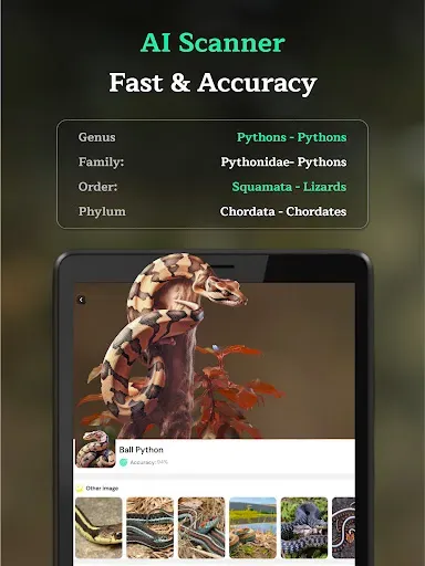 Скриншот 6 — Snake Identifier AI Scanner