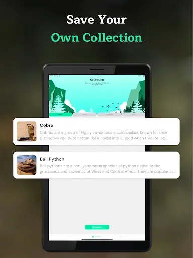 Скриншот 7 — Snake Identifier AI Scanner