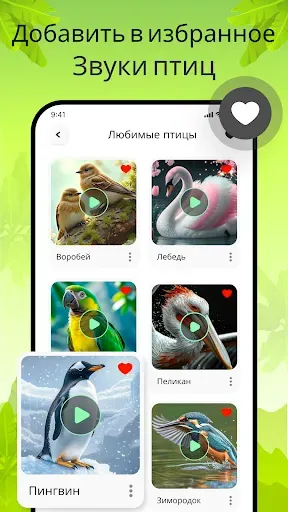 Скриншот 4 — Звуки птиц