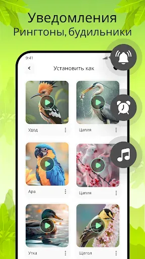 Скриншот 5 — Звуки птиц