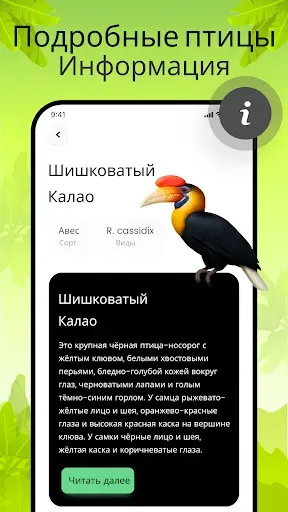 Скриншот 6 — Звуки птиц