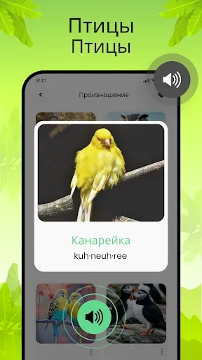 Скриншот 7 — Звуки птиц