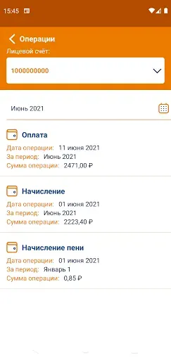 Скриншот 7 — ИНТЕР РАО. Личный кабинет