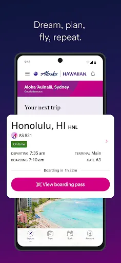 Скриншот 5 — Alaska Hawaiian
