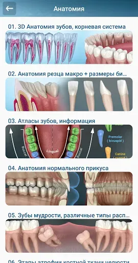 Скриншот 2 — Стоматология - 3D иллюстрации