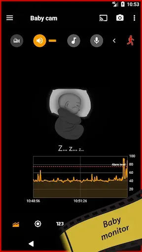 Скриншот 4 — tinyCam Monitor PRO