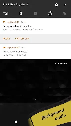 Скриншот 6 — tinyCam Monitor PRO