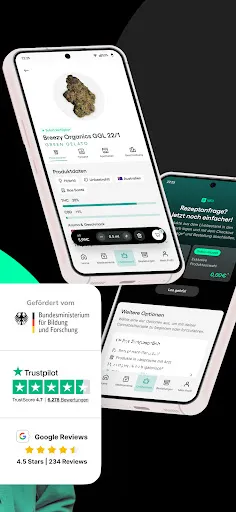 Скриншот 2 — Bloomwell