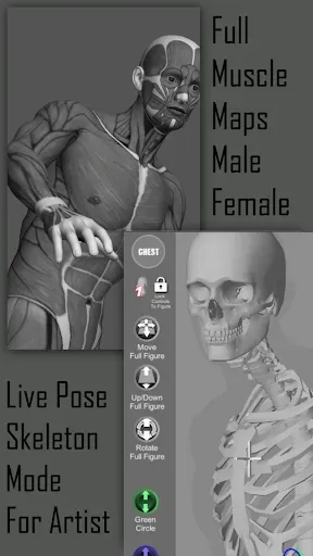 Скриншот 4 — Pose Tool 3D
