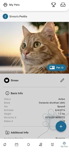 Скриншот 3 — PetPage