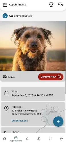 Скриншот 5 — PetPage