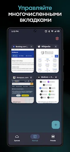 Скриншот 6 — Aloha Браузер (Beta)
