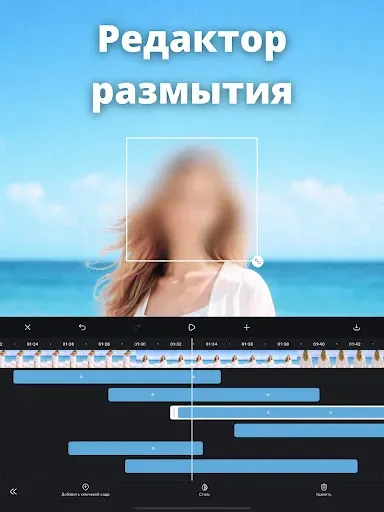 Скриншот 6 — Размытие видео - Мозаика