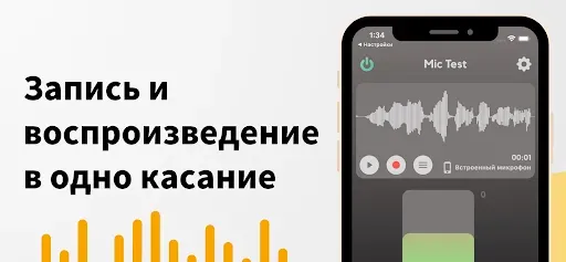 Скриншот 3 — Тест микрофона