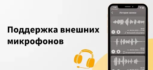 Скриншот 4 — Тест микрофона