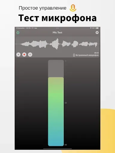 Скриншот 6 — Тест микрофона