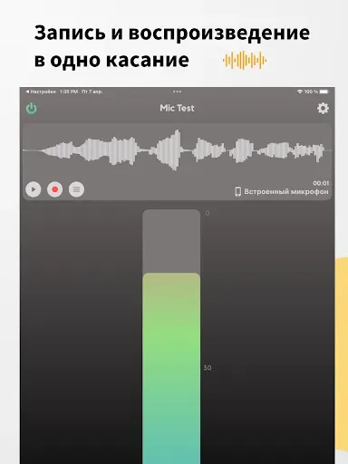Скриншот 8 — Тест микрофона