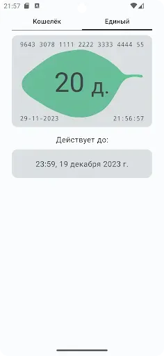 Скриншот 4 — Баланс Подорожника и Тройки