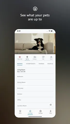 Скриншот 8 — Amazon Astro