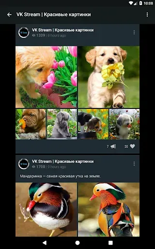 Скриншот 7 — Ночной ВК