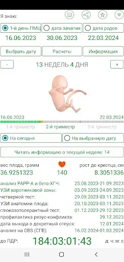 Скриншот 2 — Календарь беременности и родов