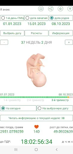 Скриншот 5 — Календарь беременности и родов
