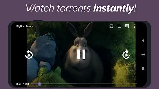 Скриншот 1 — Amnis - Torrent Player