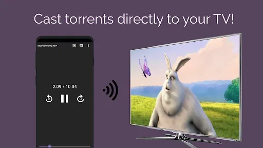 Скриншот 2 — Amnis - Torrent Player