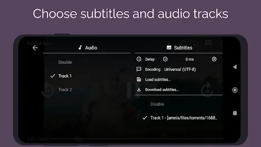Скриншот 4 — Amnis - Torrent Player